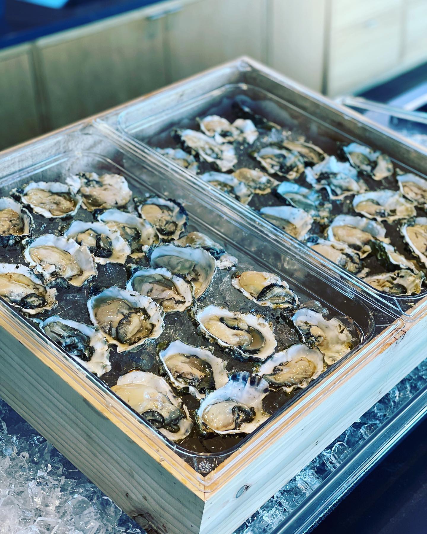 Oysters from a Carr’s catering spread